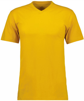 T-Shirt V-neck single-pack