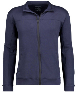 Sweatjacke mit Stehkragen