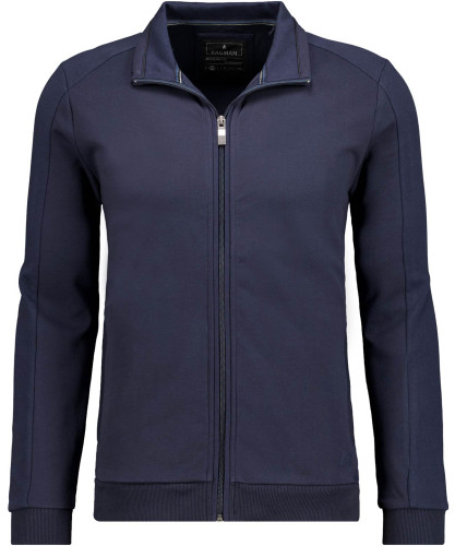 Sweatjacke mit Stehkragen 