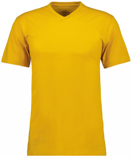 T-Shirt V-neck single-pack 