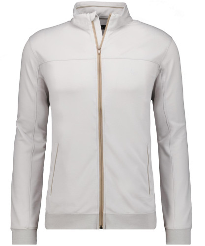 Sweat jacket with stand up collar Silver