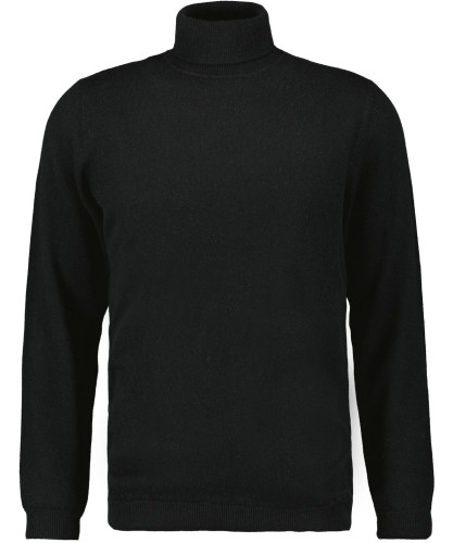 Kaschmir-Pullover Rollkragen 