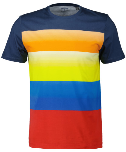 T-Shirt with allover print 