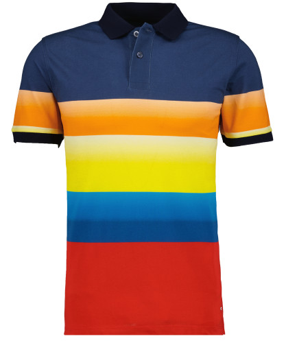 Poloshirt mit Printmuster 