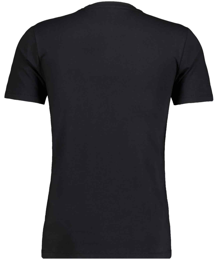 T-shirt V-neck solid, body fit