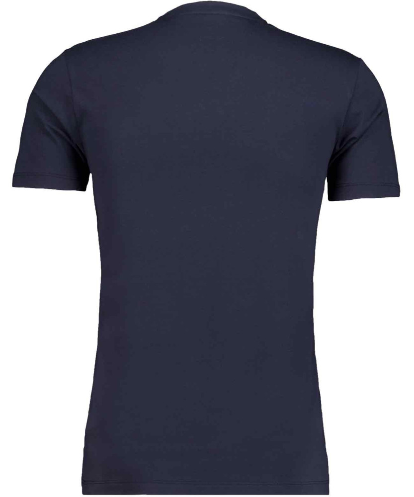 T-shirt V-neck solid, body fit