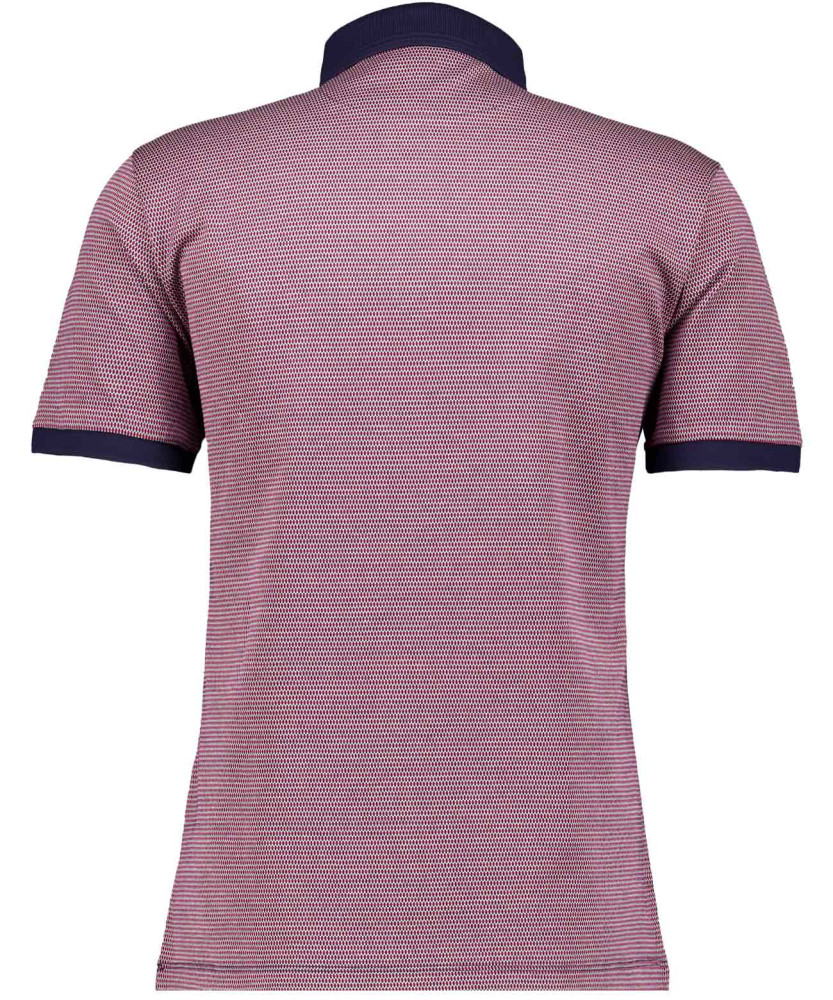 Polo tricolor, mercerized cotton