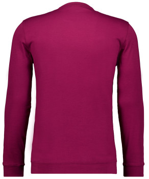Langarmshirt Rundhals mit Bündchen