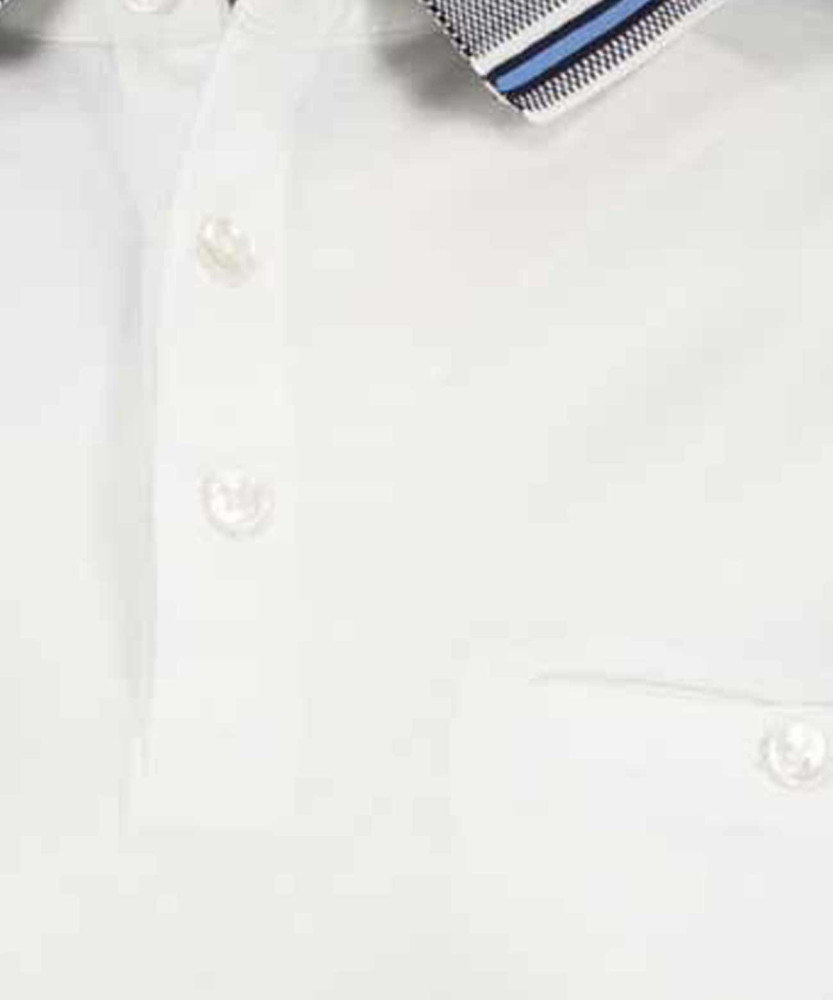 Polo solid, mercerized cotton