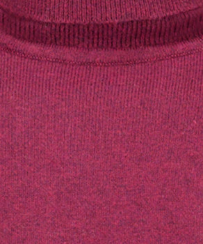 Pullover mit Rollkragen
